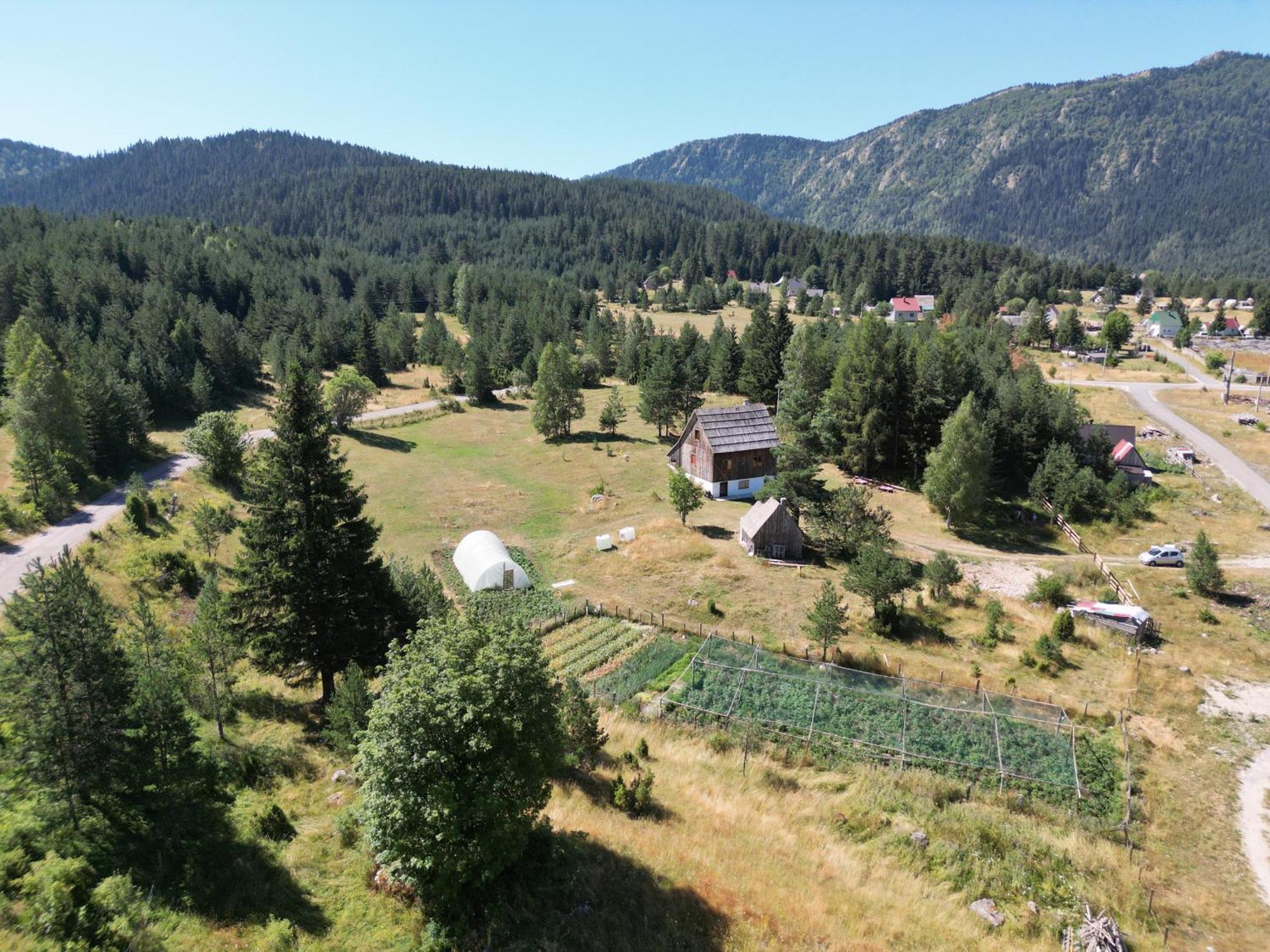 Vukov Konak - Wolf'S Lodge Žabljak Buitenkant foto