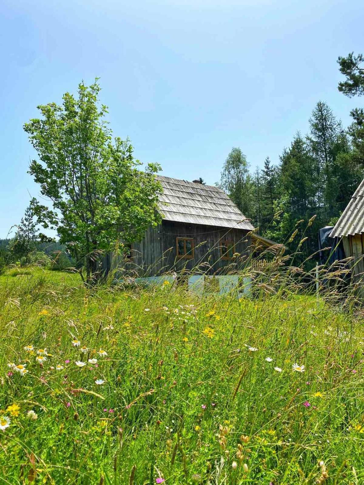 Vukov Konak - Wolf'S Lodge Žabljak Buitenkant foto