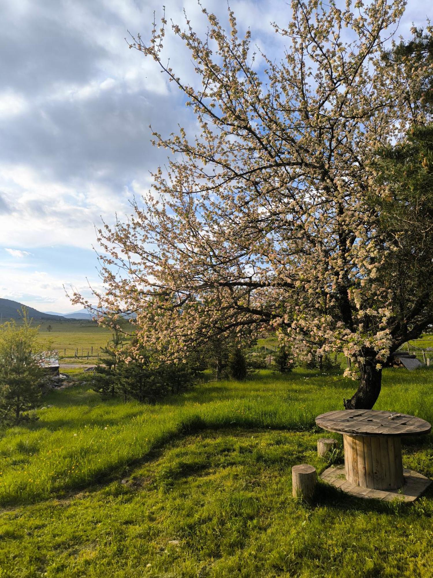 Vukov Konak - Wolf'S Lodge Žabljak Buitenkant foto